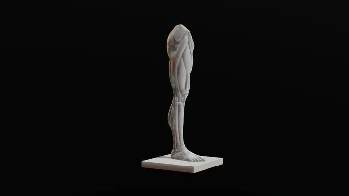 PBR Game 3D Models – Ecorche Leg (Écorché)