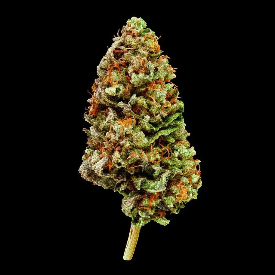 PBR Game 3D Models – Elb Cannabis Model