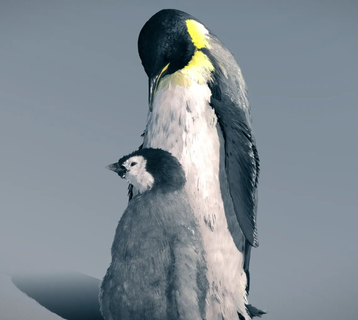 PBR Game 3D Models – Emperor Penguin ( Family Pack )