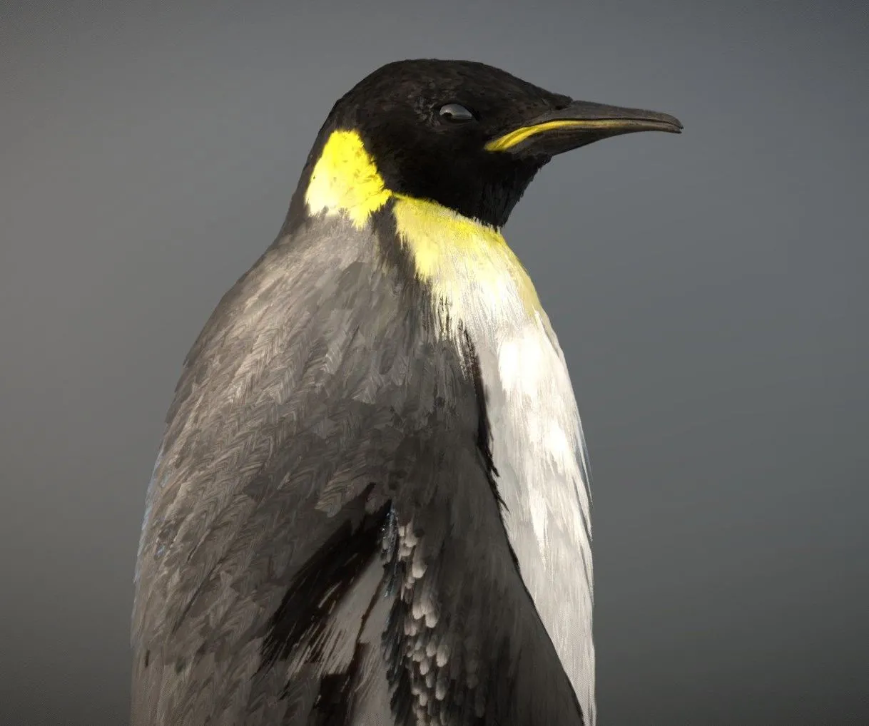 PBR Game 3D Models – Emperor Penguin
