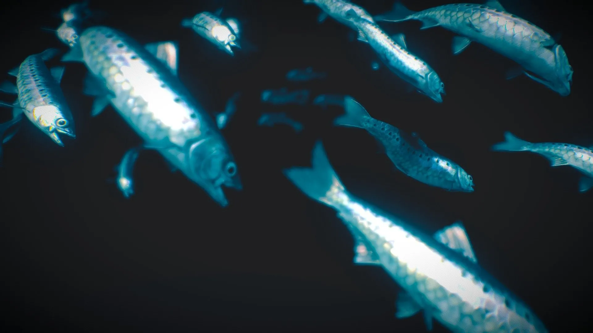 PBR Game 3D Models – European Pilchard