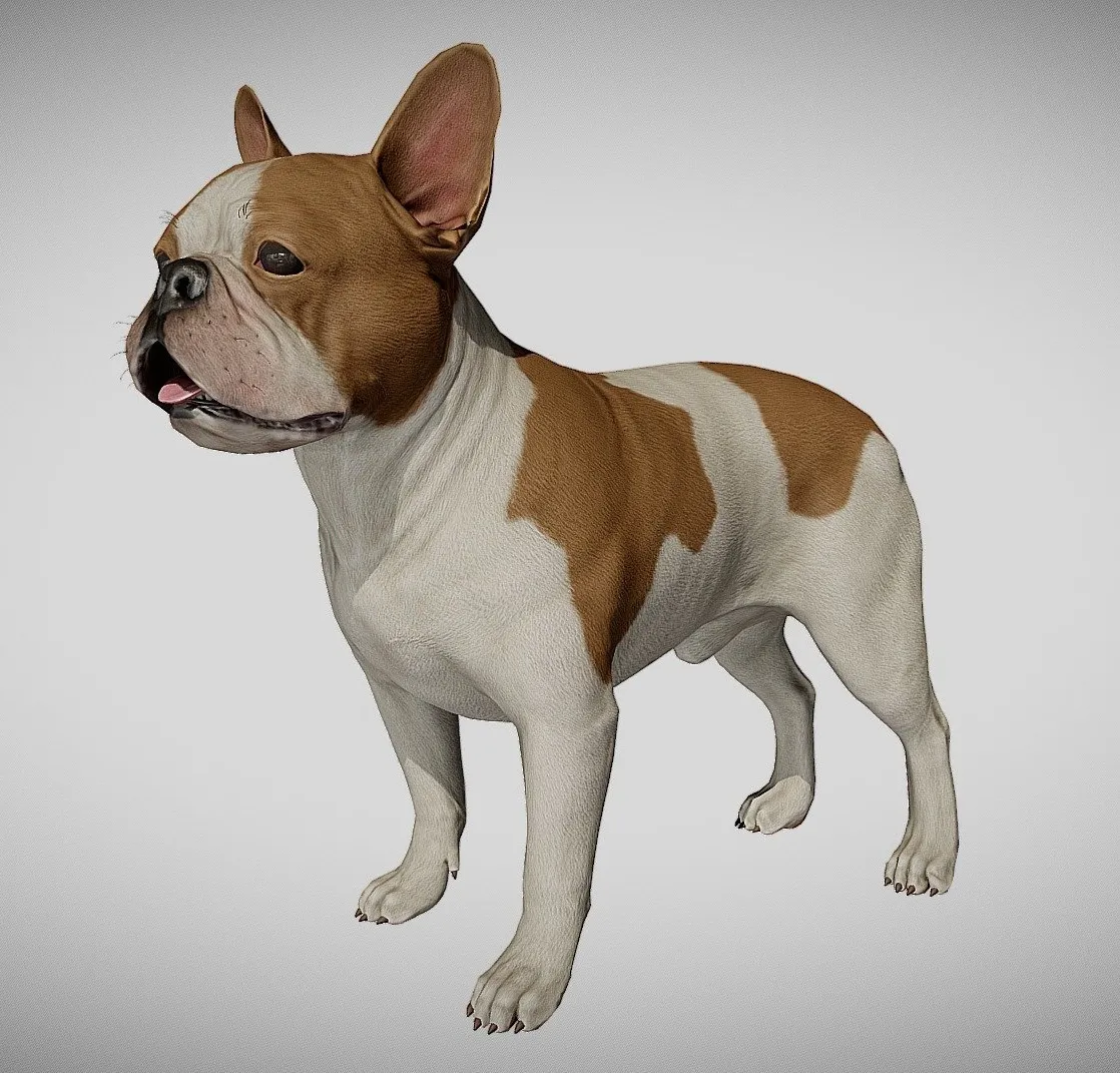 PBR Game 3D Models – French Bulldog