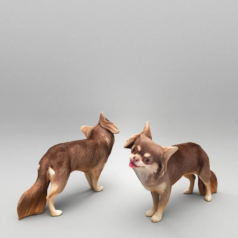 PBR Game 3D Models – Funny dog 29