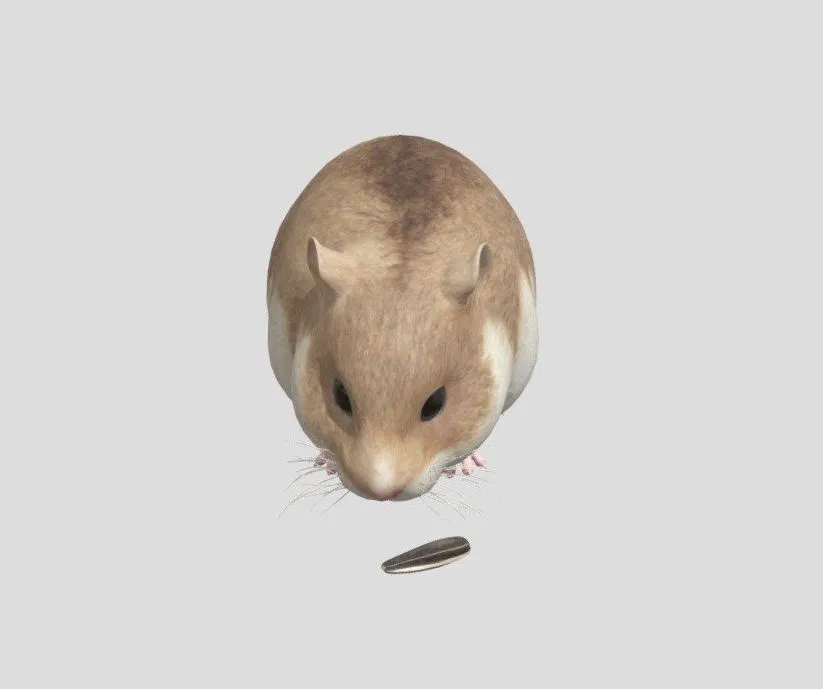 PBR Game 3D Models – Hamster