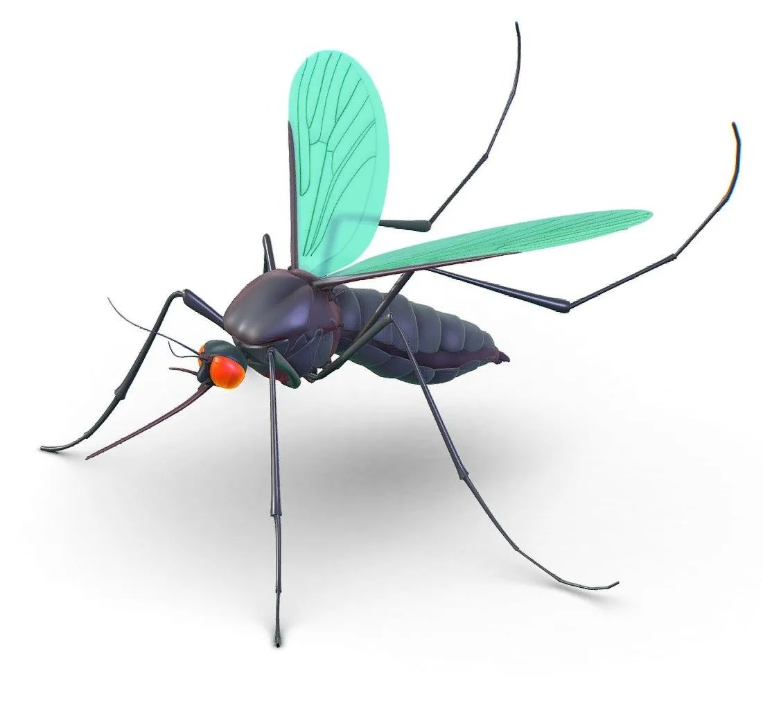 PBR Game 3D Models – High Poly Big Realistic Mosquito