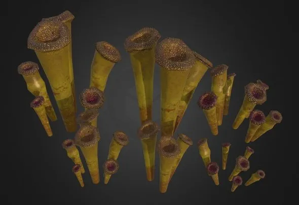 PBR Game 3D Models – Horn Trumpeters