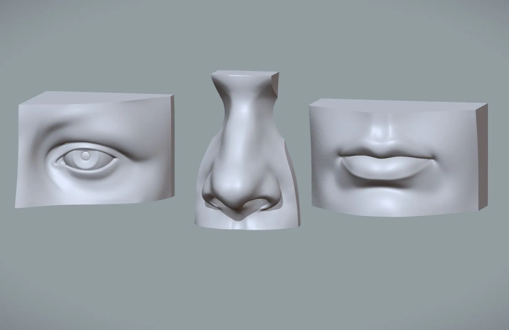 PBR Game 3D Models – Human Mouth Eye And Nose Reference Study Pack