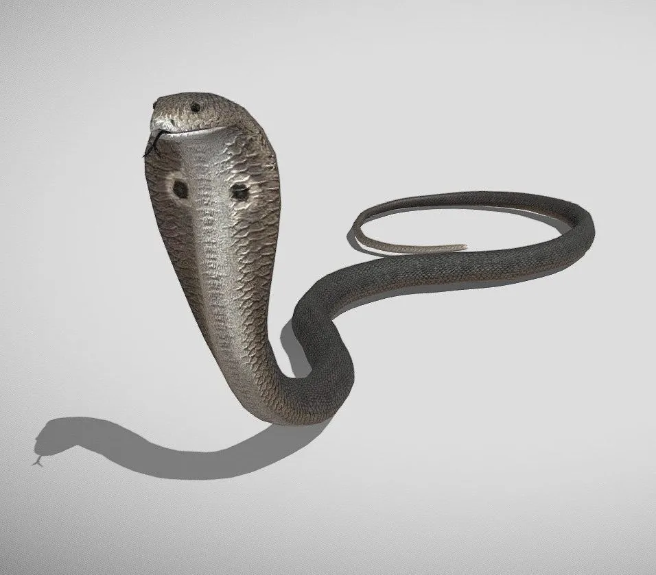 PBR Game 3D Models – Medhue Cobra