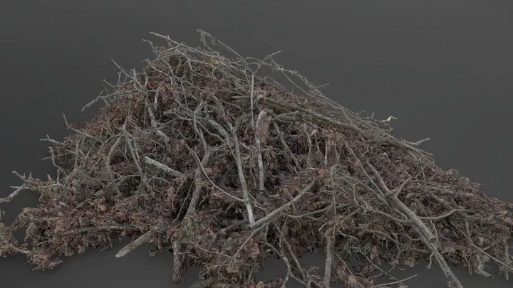 PBR Game 3D Models – Old Tree Branches Pile