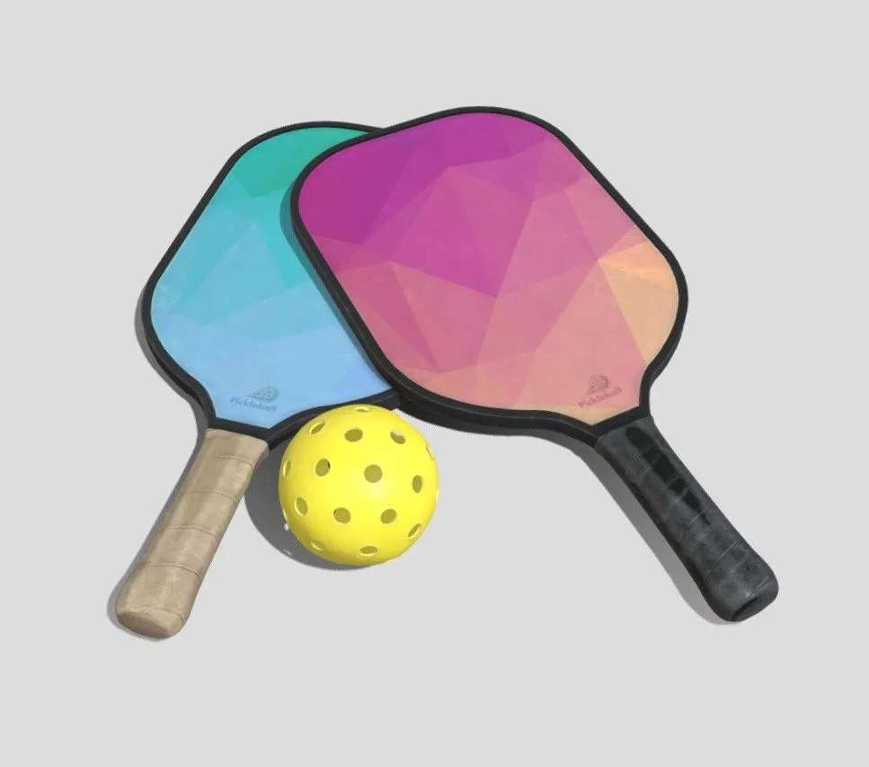 PBR Game 3D Models – Pickle Ball Set 4K And 2K Textures