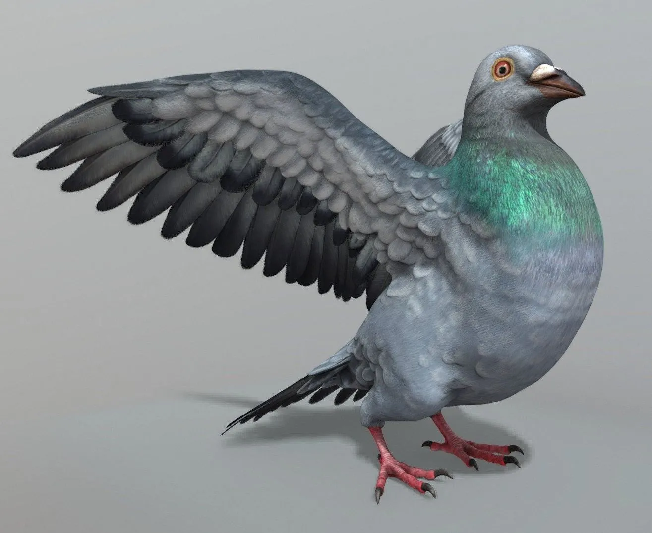 PBR Game 3D Models – Pigeon 1