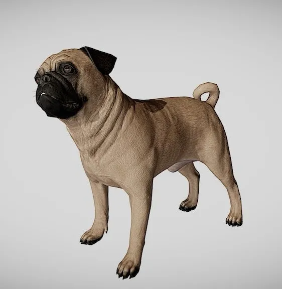 PBR Game 3D Models – Pug