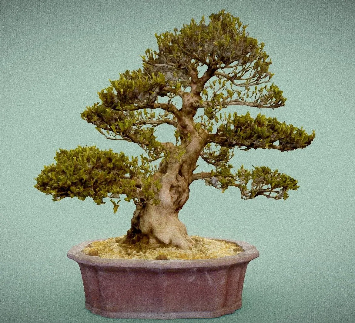 PBR Game 3D Models – Satsuki Hakurin 1