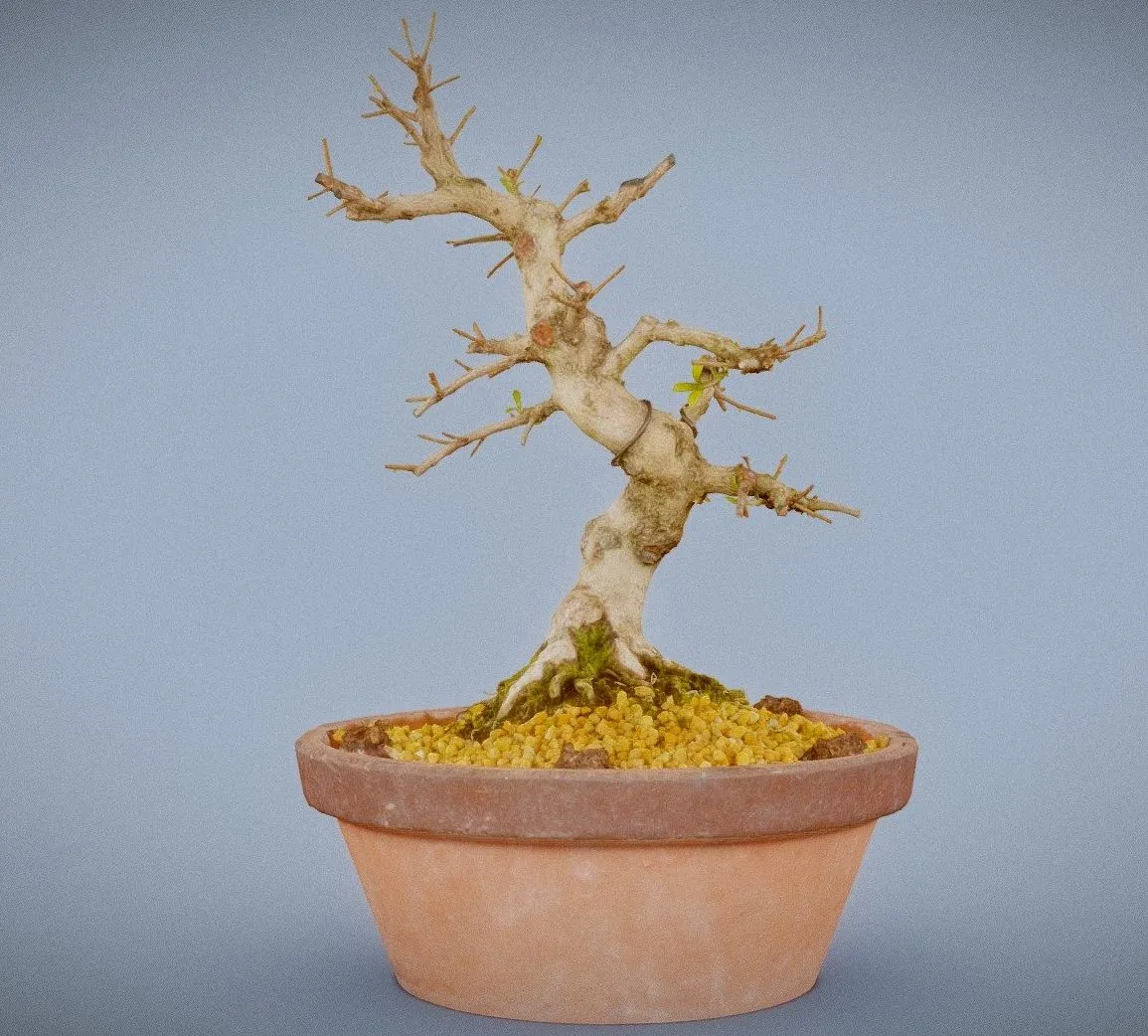 PBR Game 3D Models – Satsuki Hi No Maru