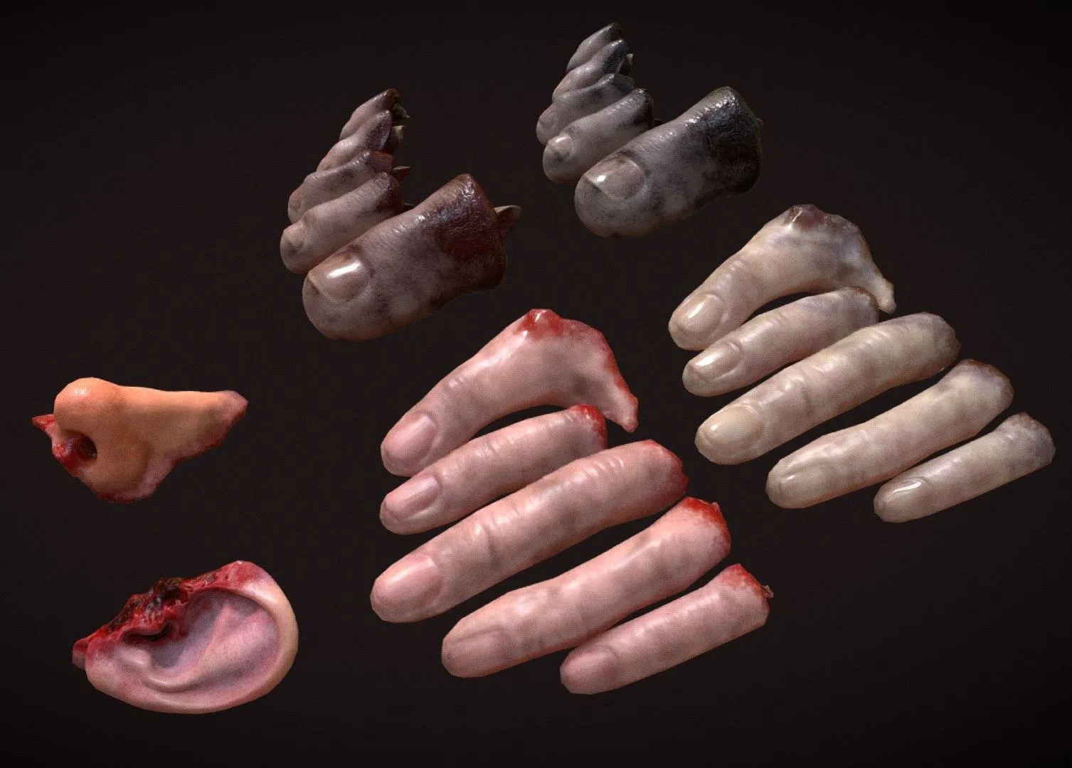 PBR Game 3D Models – Severed Fingers Toes Ear And Nose