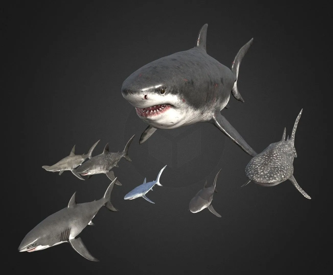 PBR Game 3D Models – Shark Pack (2)