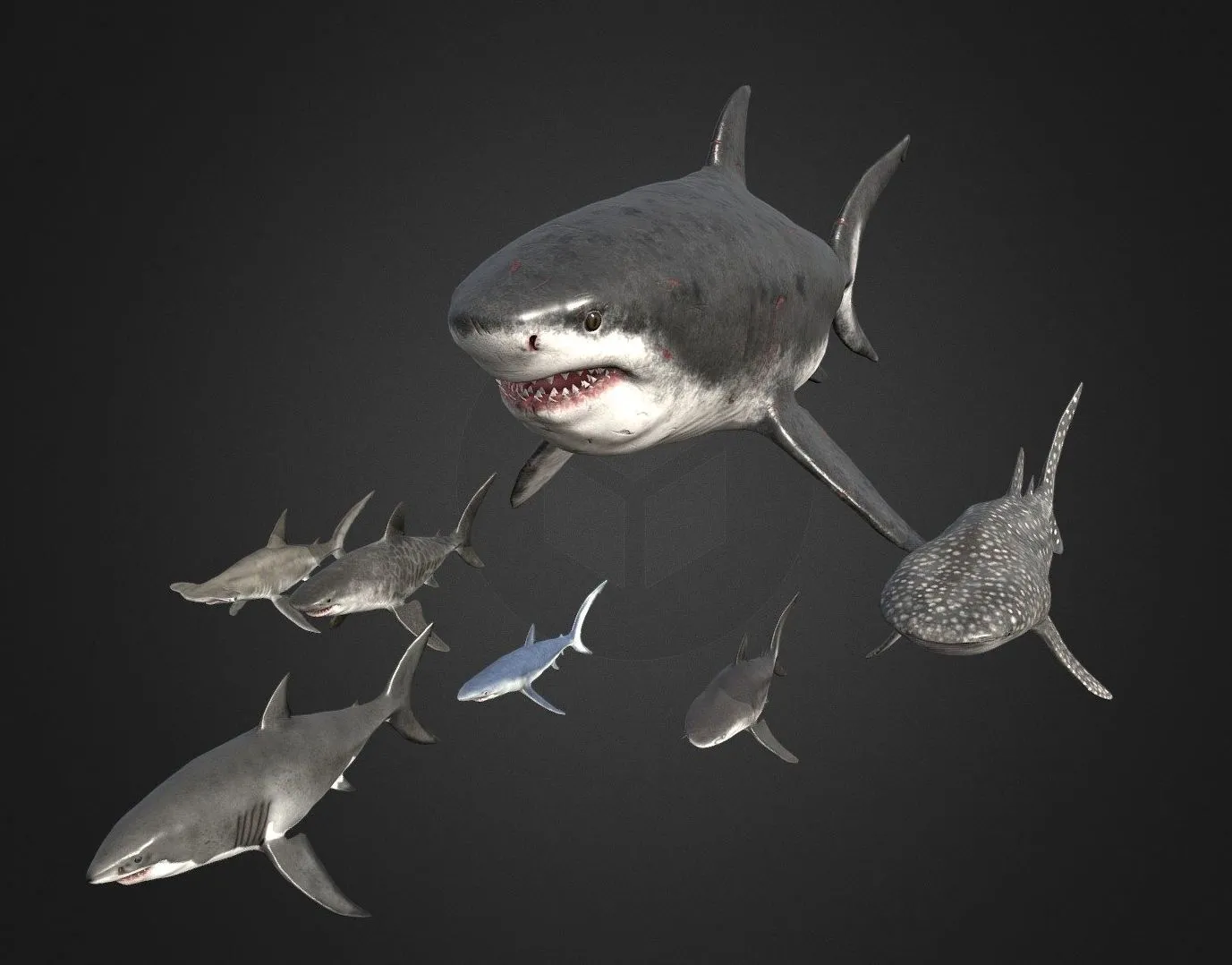 PBR Game 3D Models – Shark Pack