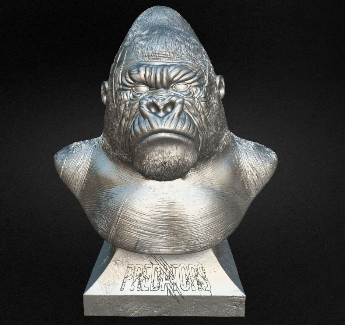PBR Game 3D Models – Silverback Gorilla
