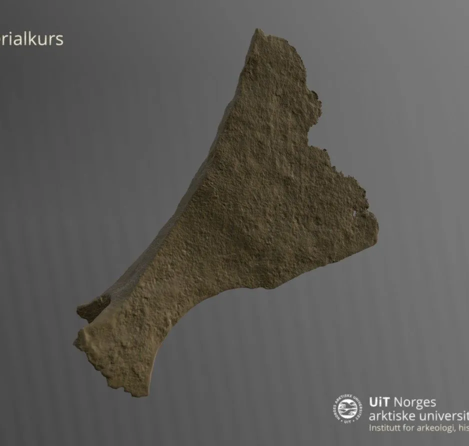 PBR Game 3D Models – Skjeggks Ts102