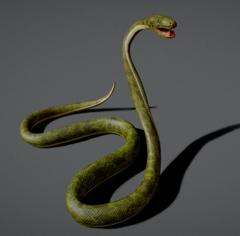 PBR Game 3D Models – Snake Boa