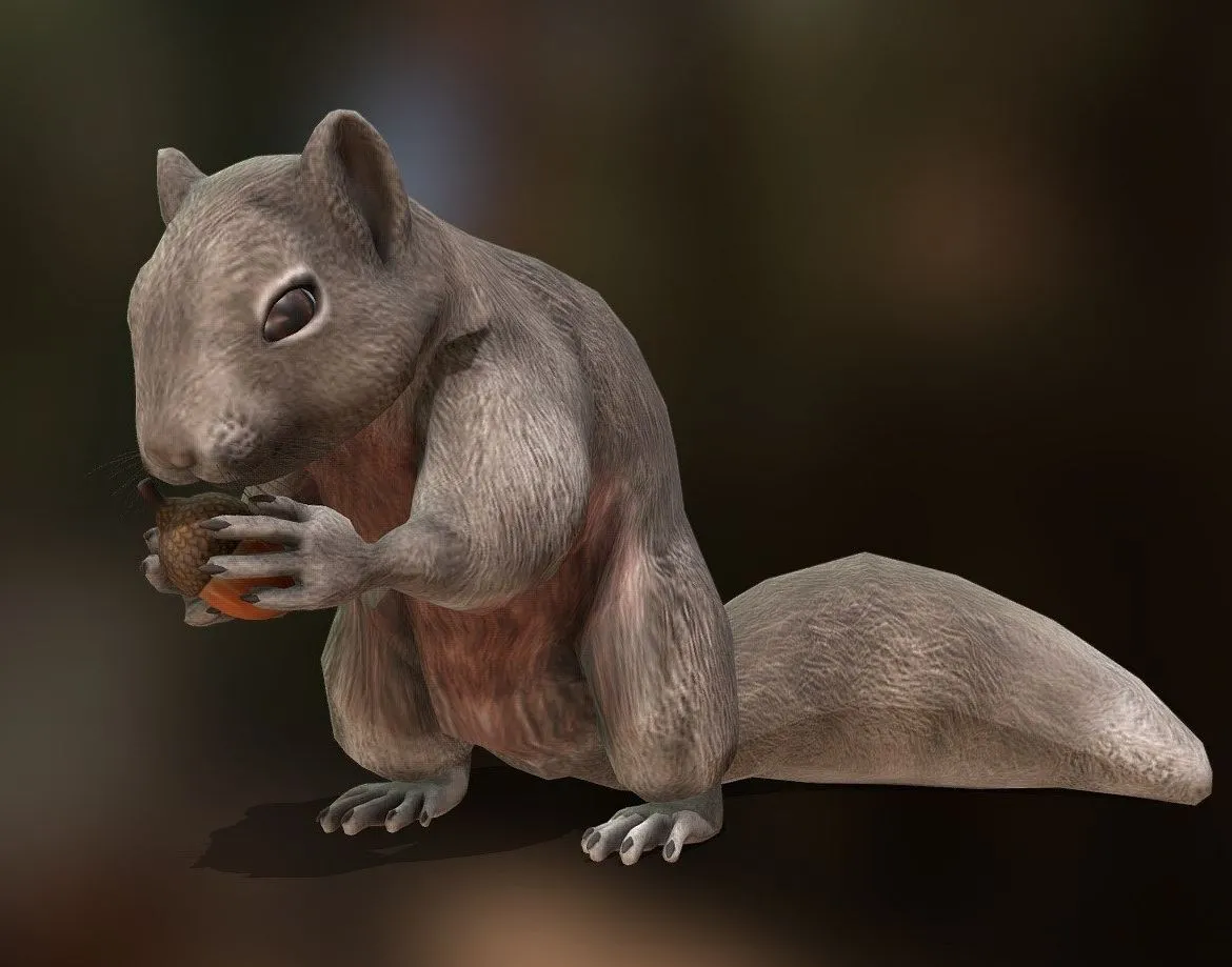 PBR Game 3D Models – Squirrel Animation