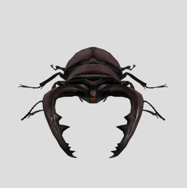 PBR Game 3D Models – Stag beetle