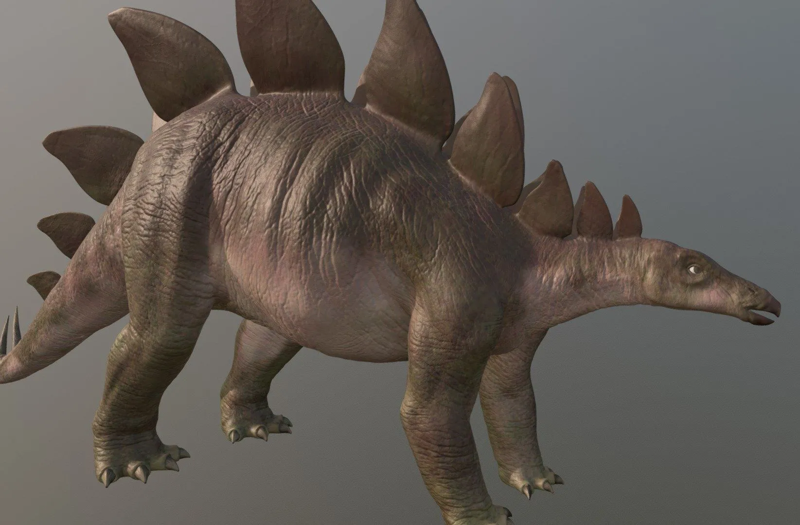 PBR Game 3D Models – Stegosaurus