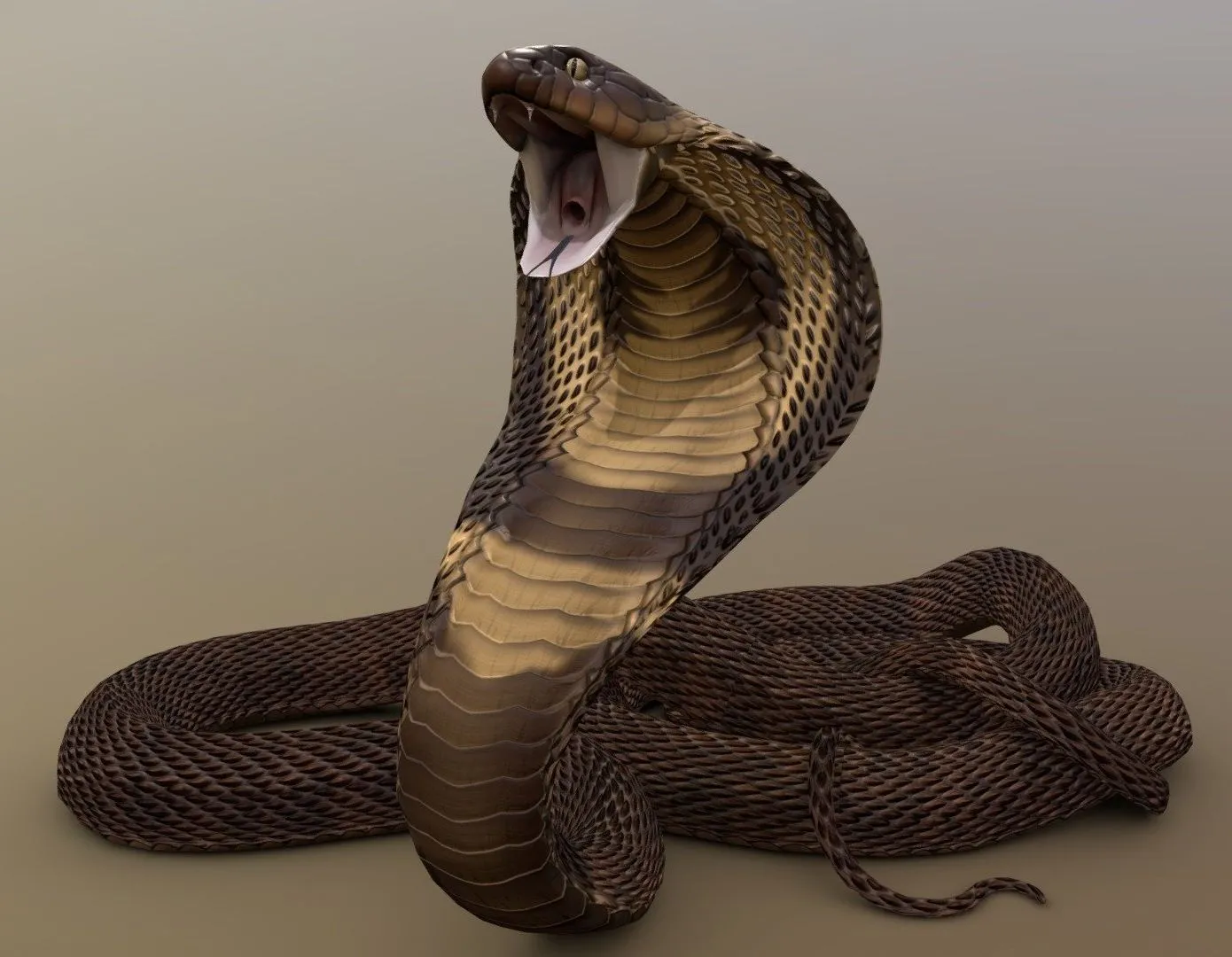 PBR Game 3D Models – Striking Cobra