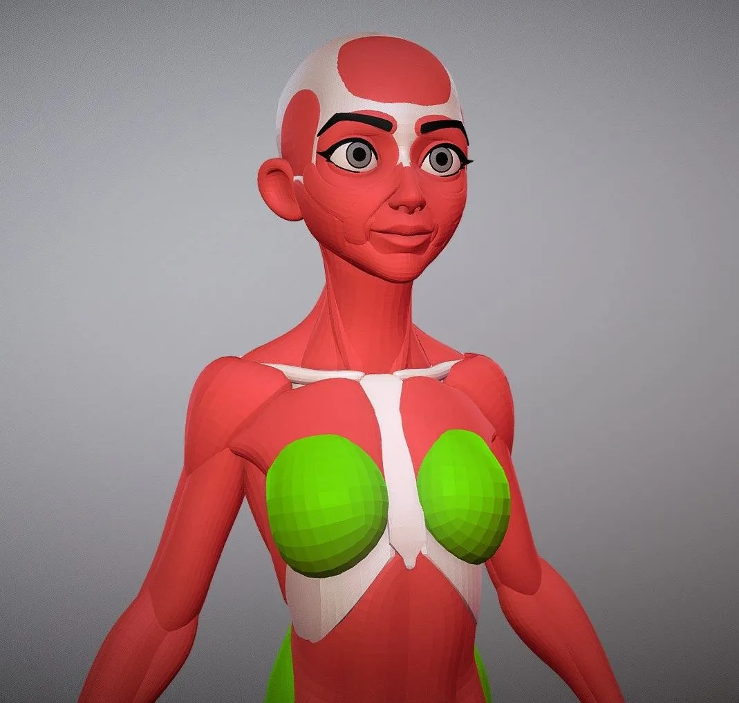PBR Game 3D Models – Stylized Female Anatomy Ecorche