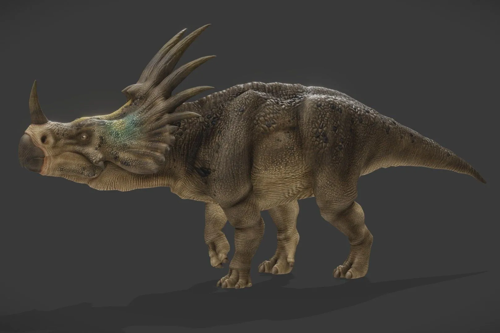PBR Game 3D Models – Styracosaurus Albertensis Rigged Animtd V