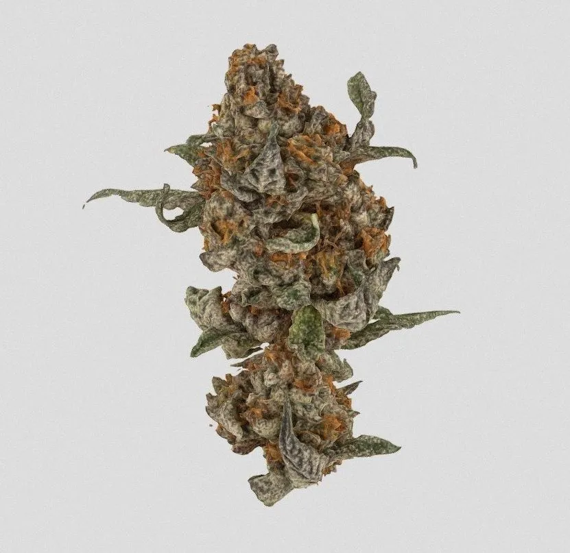 PBR Game 3D Models – Superweed1