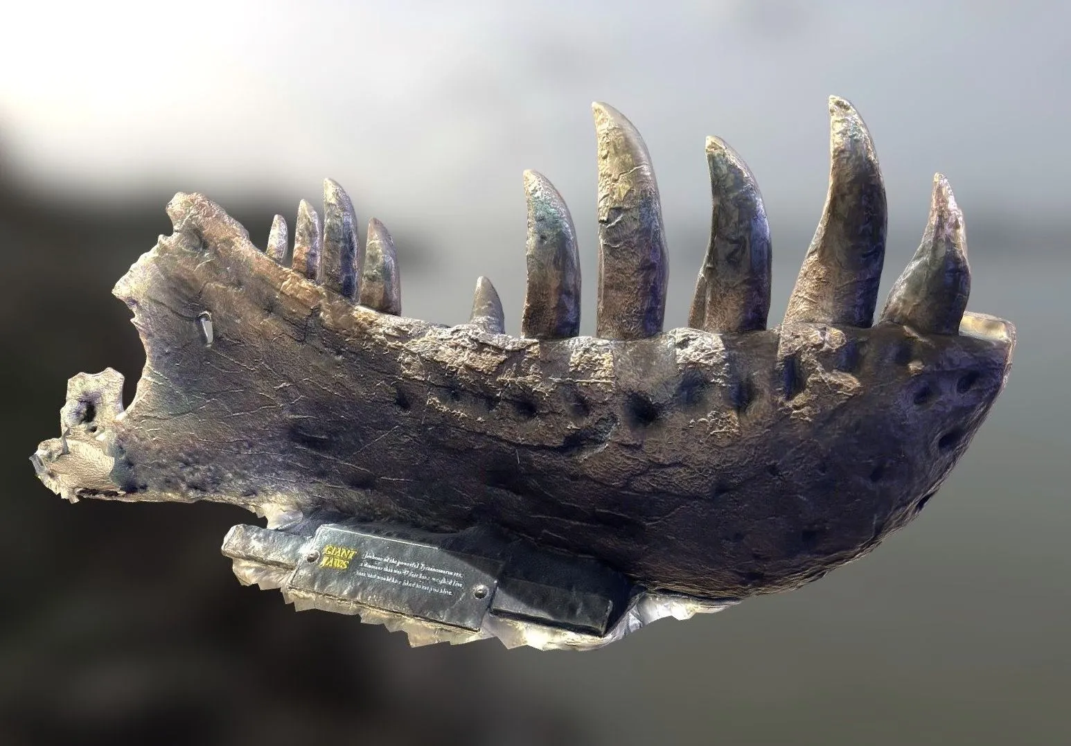 PBR Game 3D Models – T Rex Partial Lower Jaw