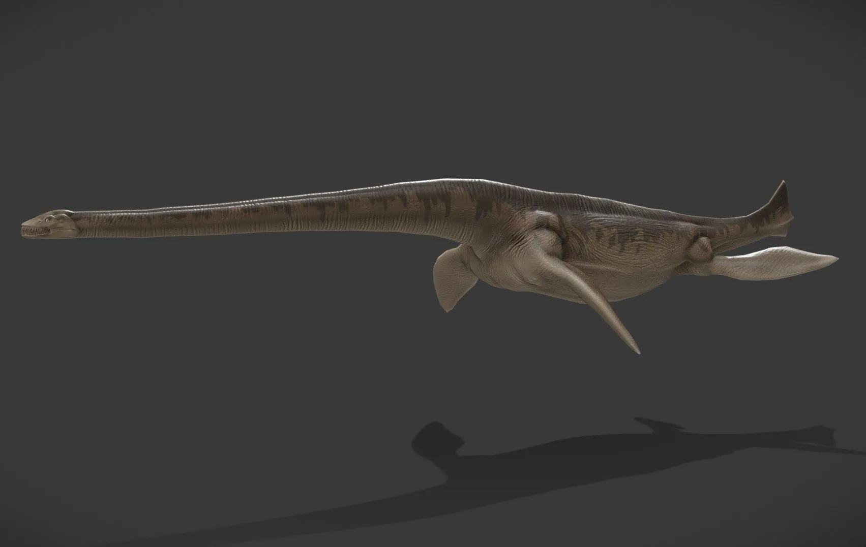 PBR Game 3D Models – Thalassomedon Haningtoni