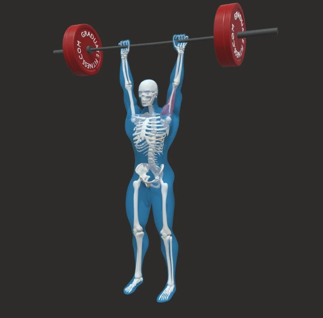 PBR Game 3D Models – The Barbell Overhead Press