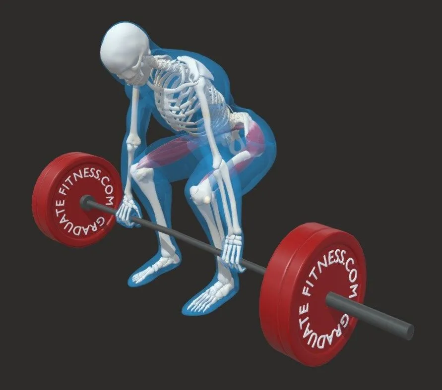 PBR Game 3D Models – The Conventional Deadlift