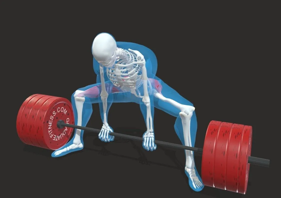 PBR Game 3D Models – The Sumo Deadlift