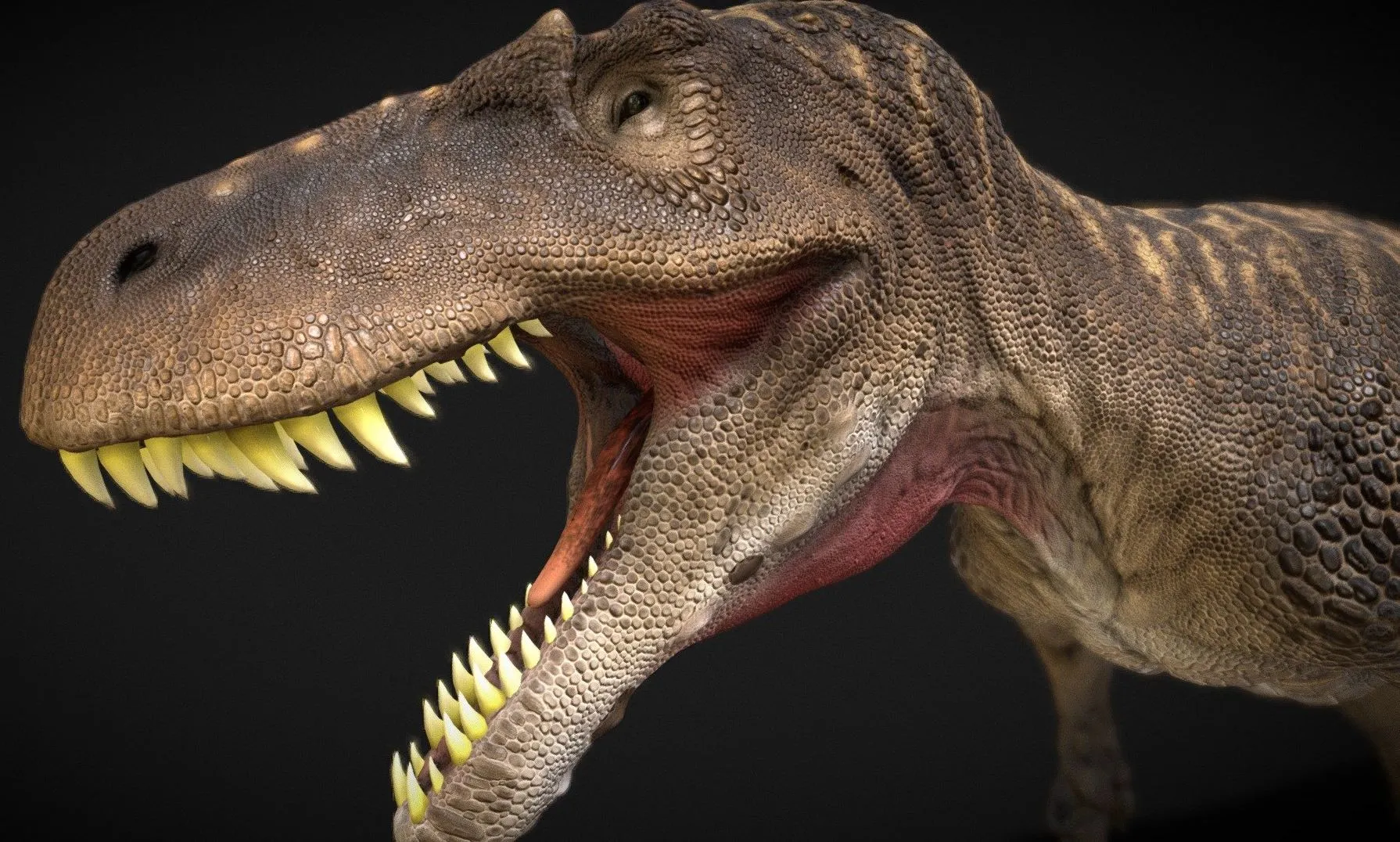 PBR Game 3D Models – Torvosaurus
