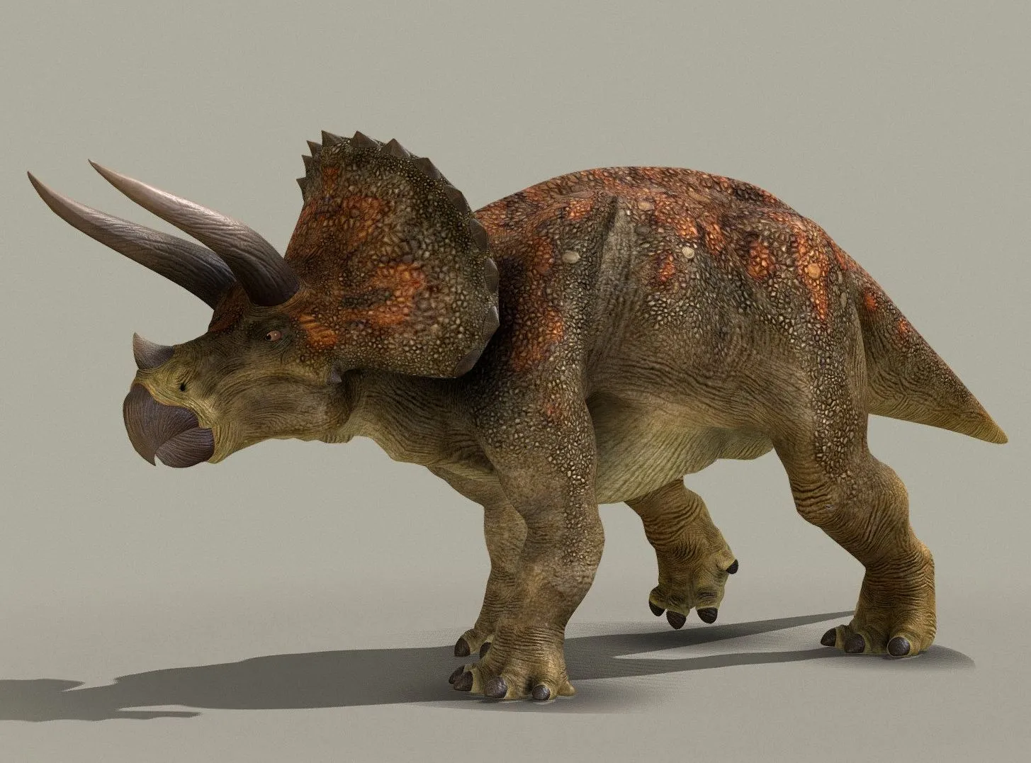 PBR Game 3D Models – Triceratops Horridus 2