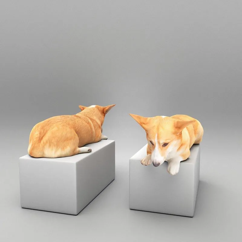 PBR Game 3D Models – Welsh corgi 44
