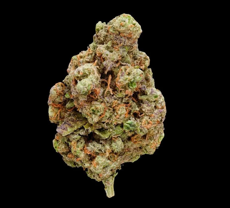 PBR Game 3D Models – White Papaya Cannabis Model