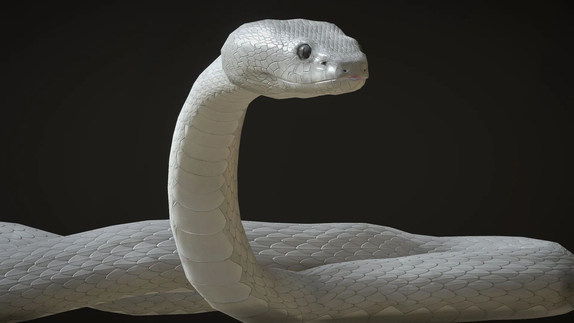 PBR Game 3D Models – White Viper Snake With Animations