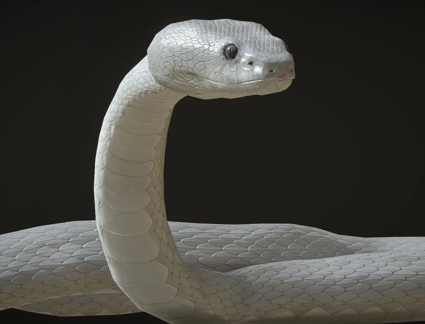 PBR Game 3D Models – White Viper Snake With Animations
