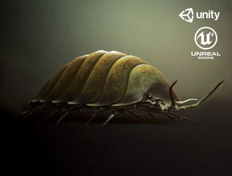 PBR Game 3D Models – Woodlouse insect1