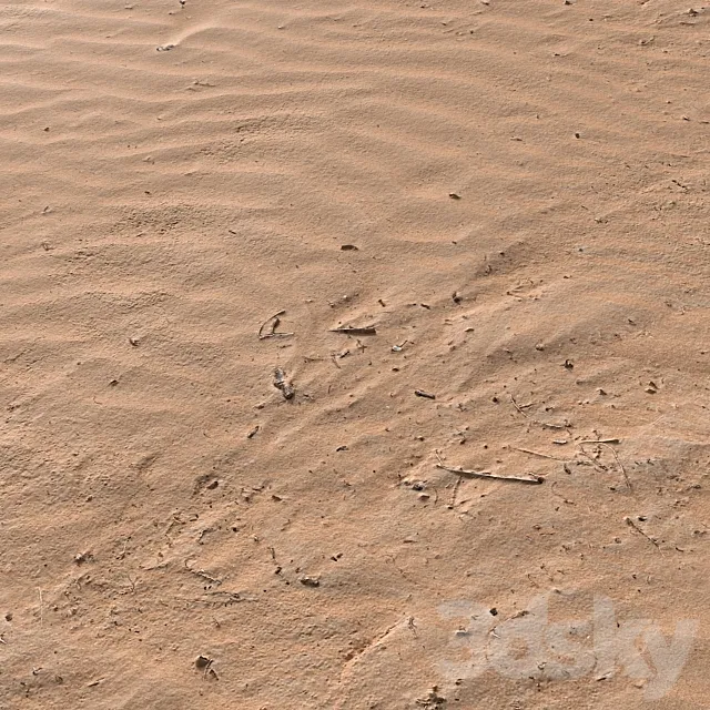 PBR Sand Beach 07 3ds Max