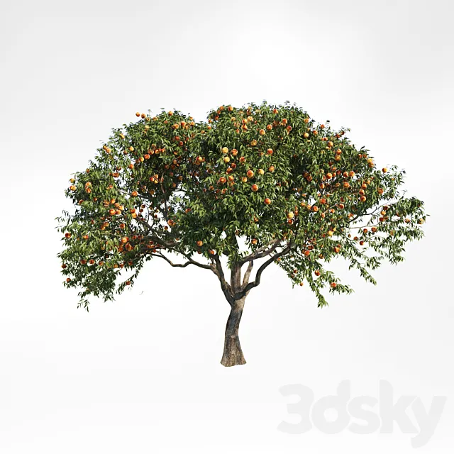 peach tree 2 3ds Max