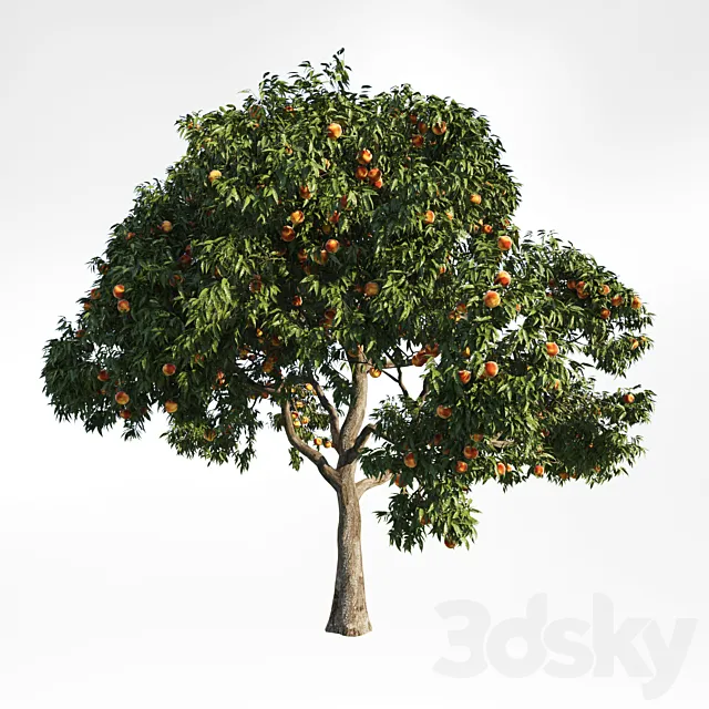 peach tree 9 3ds Max