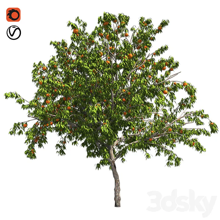Peach tree with fruit 3DS Max
