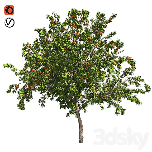 Peach tree with fruit 3DSMax File