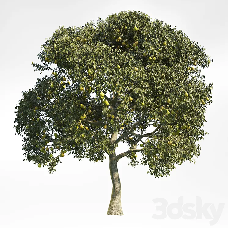 Pear Tree 8 3DS Max