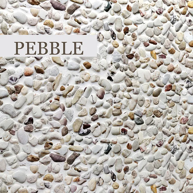 pebble 3DS Max Model